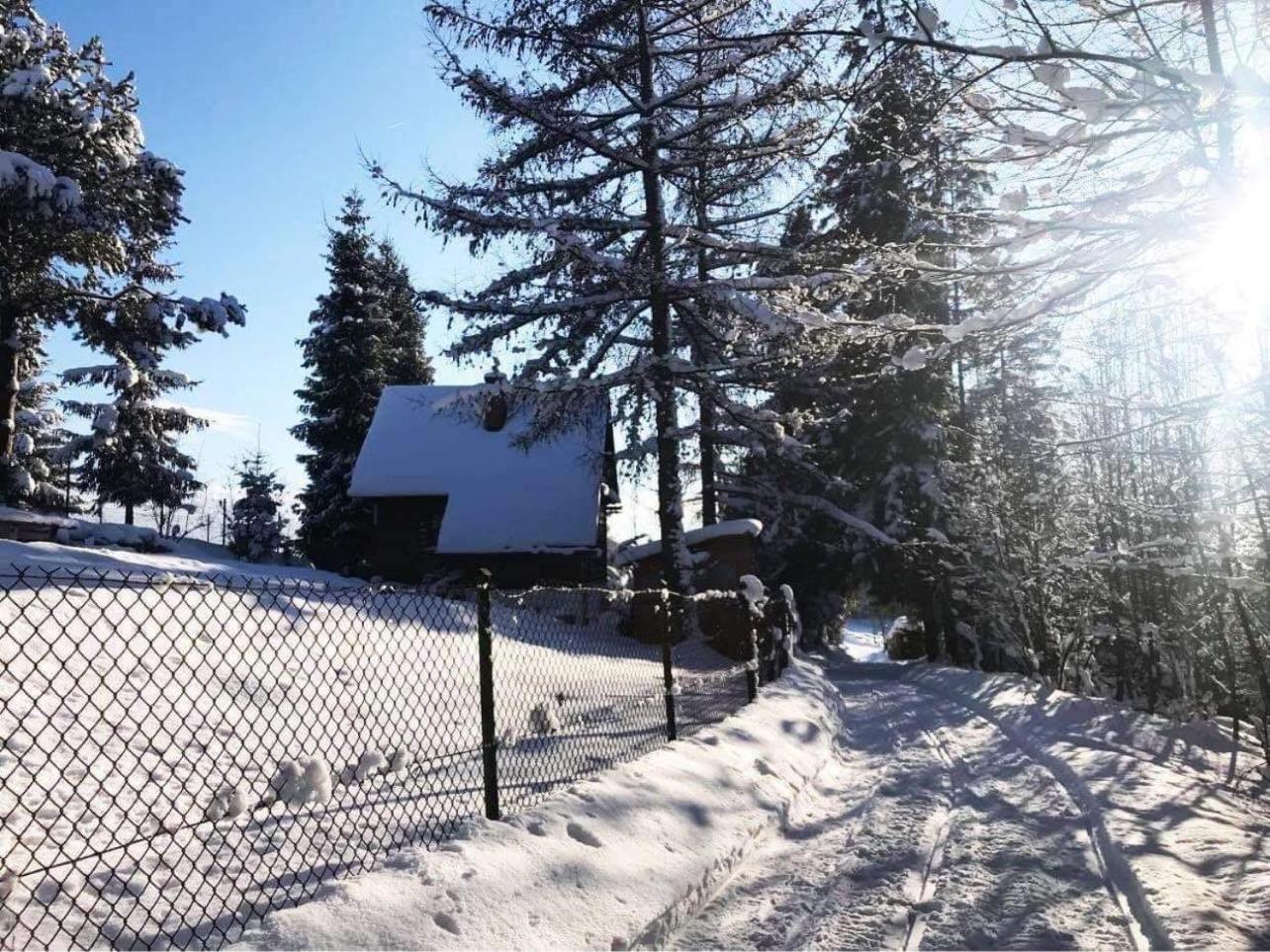 Domek Pod Modrzewiem Nowy Targ Exterior foto